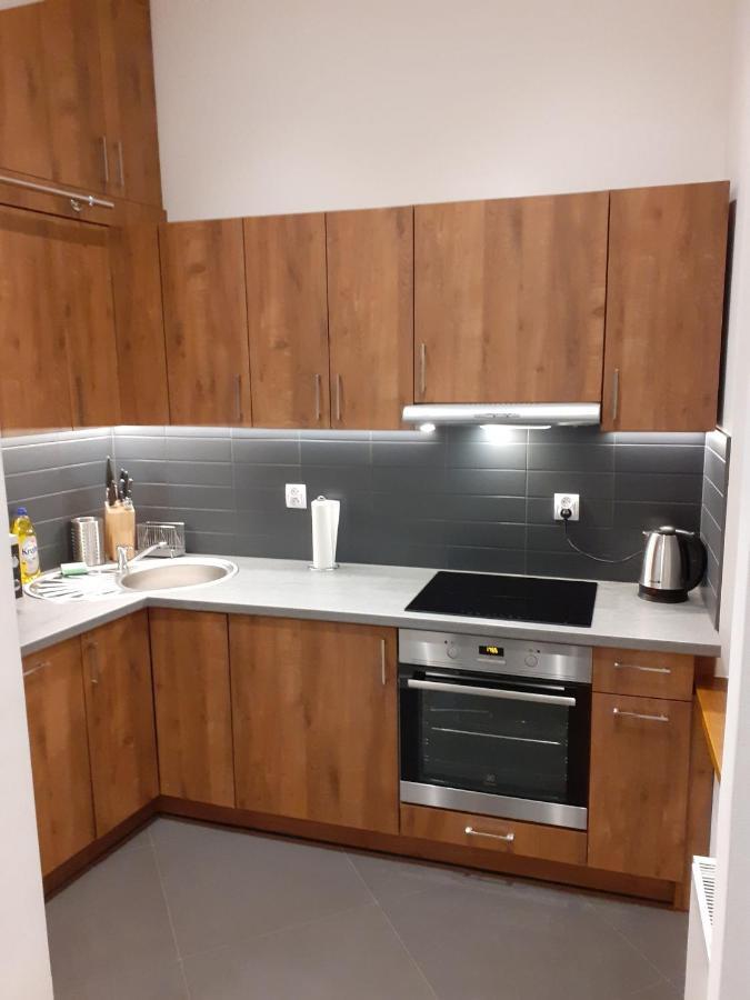 Apartament Sobieskiego Nowy Sącz Dış mekan fotoğraf